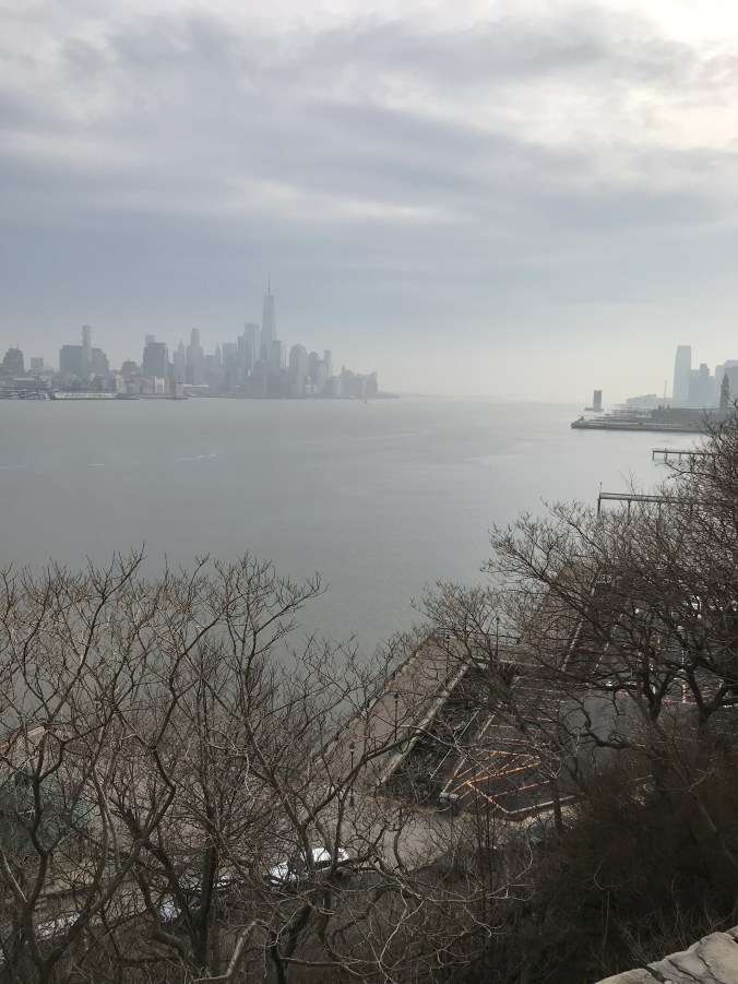 Suddenly Mad- Skyline from Stevens hill