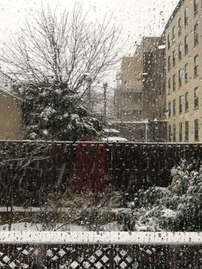 Suddenly Mad- Noreaster outside my window