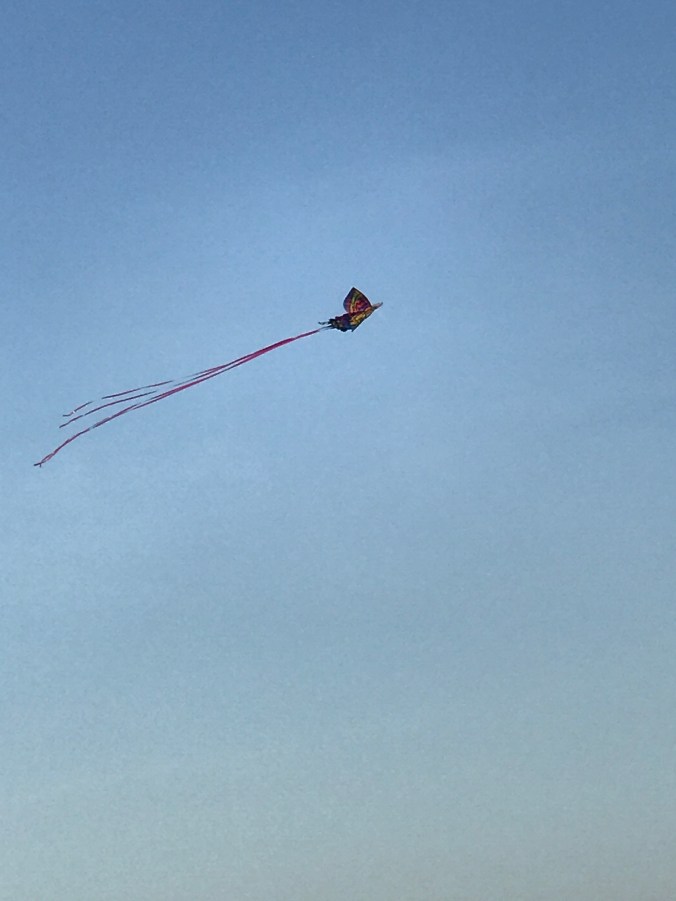 Suddenly Mad- Flummoxed (kite in the sky 1)