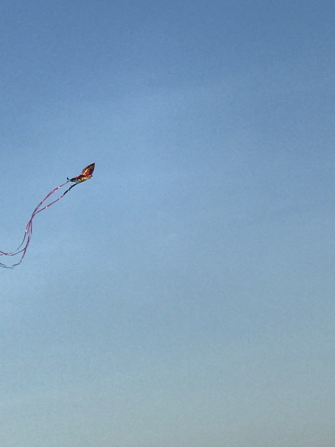 Suddenly Mad- Flummoxed (kite in the sky 2)