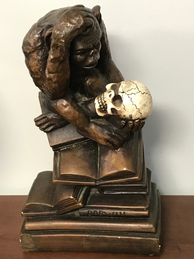 Suddenly Mad- The Daze (Darwin sculpture at osteopaths office)