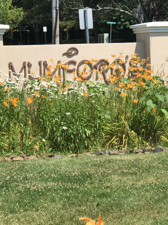 Suddenly Mad- The Daze (Mumford_s)