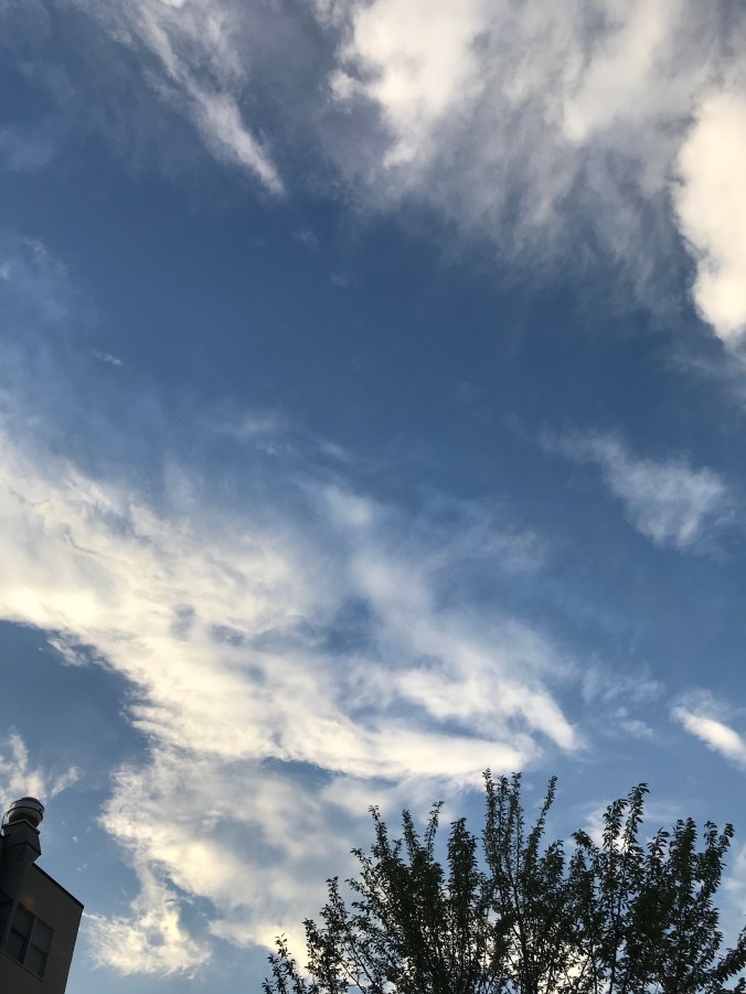 Suddenly Mad- The Daze (sky)