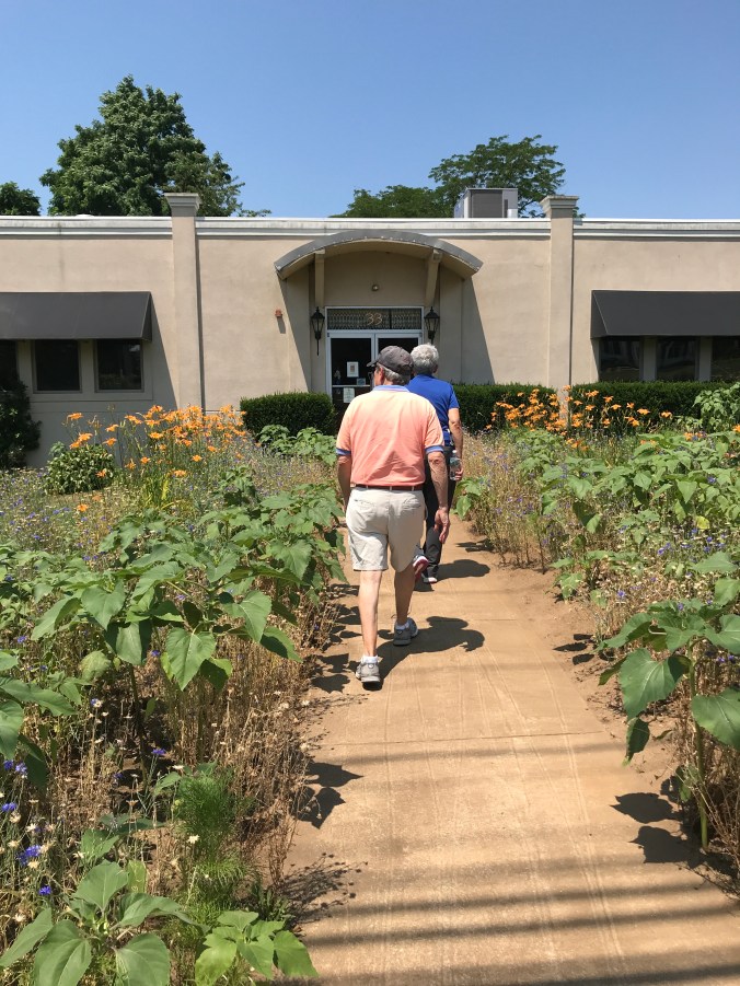 Suddenly Mad- Walking to Mumford_s