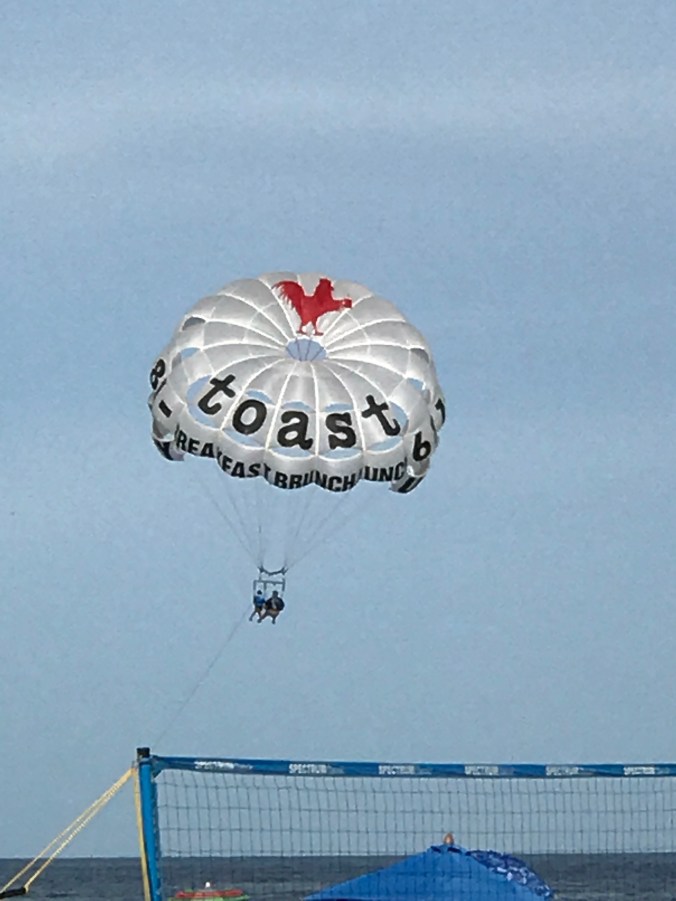 Suddenly Mad- paragliders 2