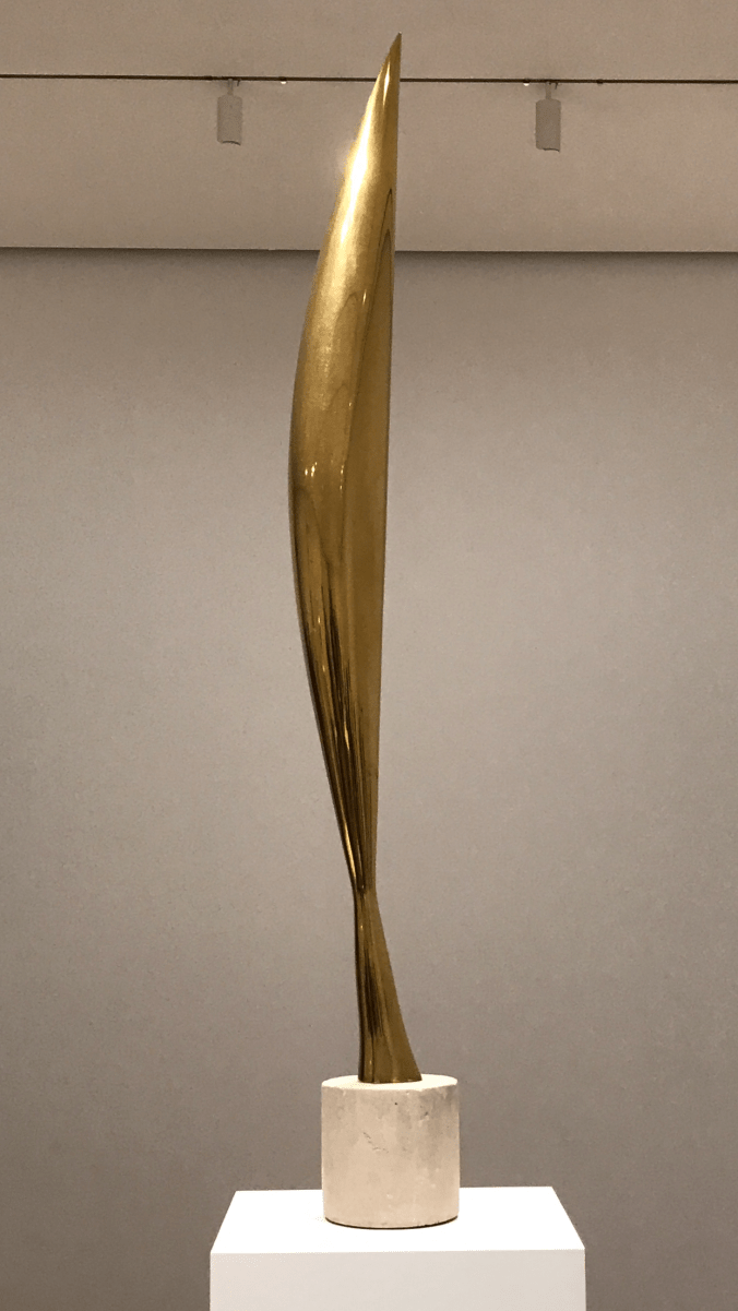 Suddenly Mad- Self and others - Bird in Space - Brancusi