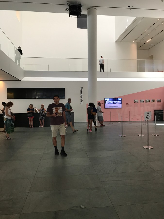 Suddenly Mad- Self and others (main lobby MOMA)