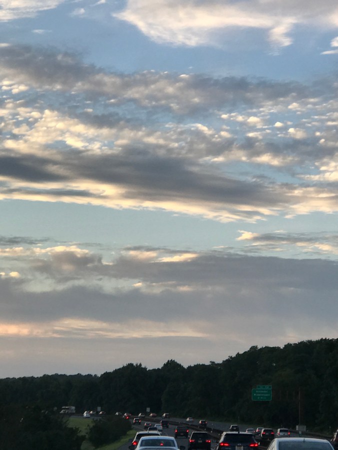 Suddenly Mad- Sky returning home