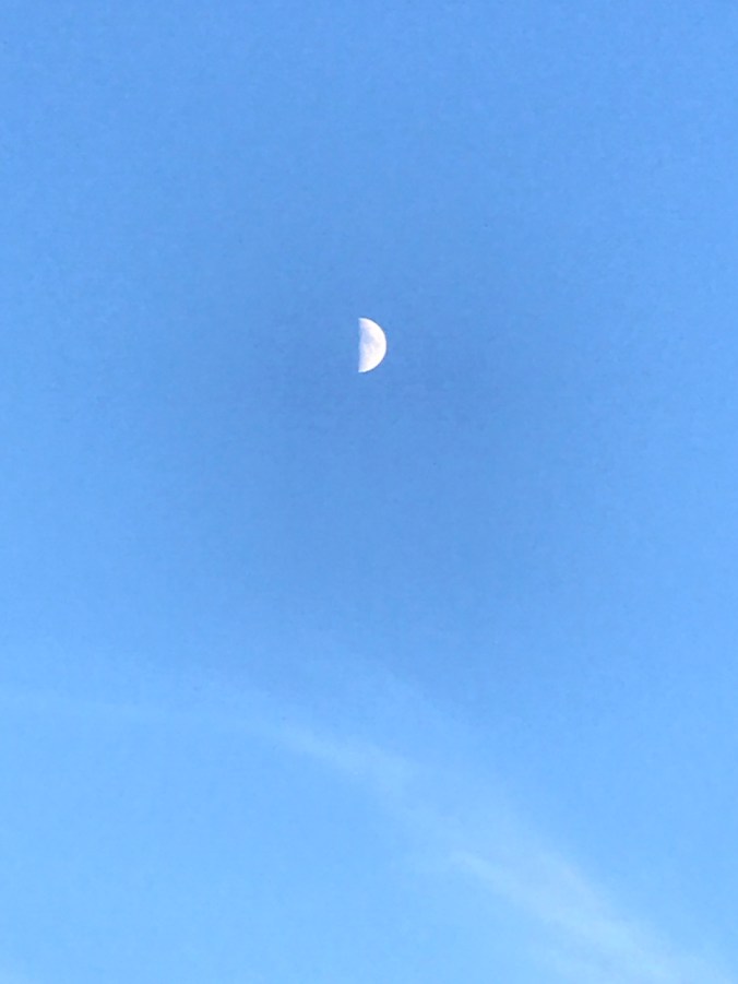 Suddenly Mad- My Soul (half moon Gibbis seen with Ruth)