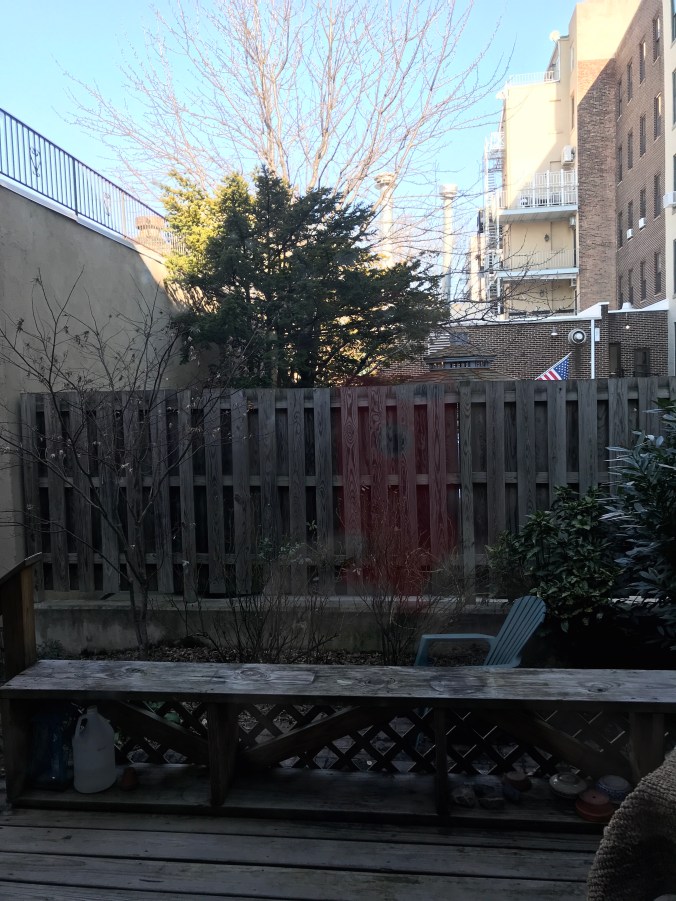 suddenly mad- solitary confinement (view outside patio door dec 26, 2018)