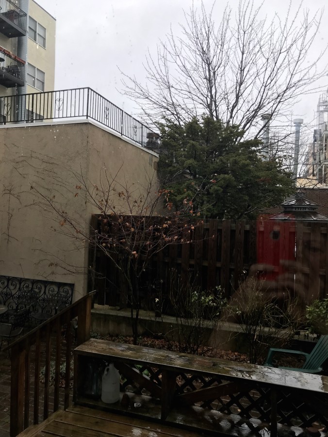 suddenly mad- solitary confinement (view outside patio door dec 28, 2018)