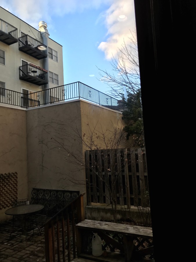 suddenly mad- solitary confinement (view outside patio door dec 29, 2018)