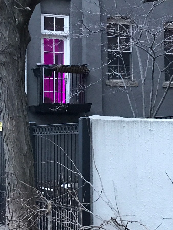 Suddenly Mad- A newly constructed personality (a window with pink light inside - things I notice)