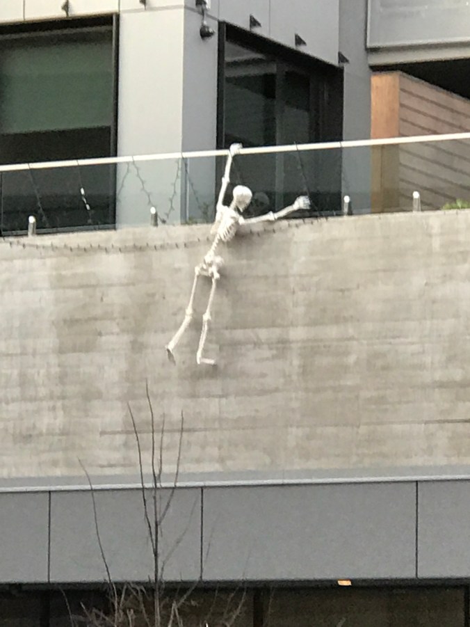 Suddenly Mad- Wish this was a dream (skeleton hanging)